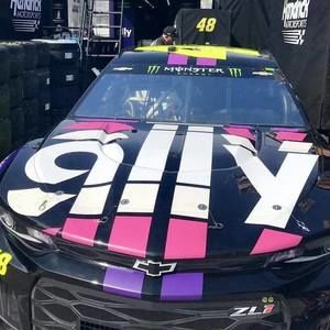 Meet your Posher, Kitty